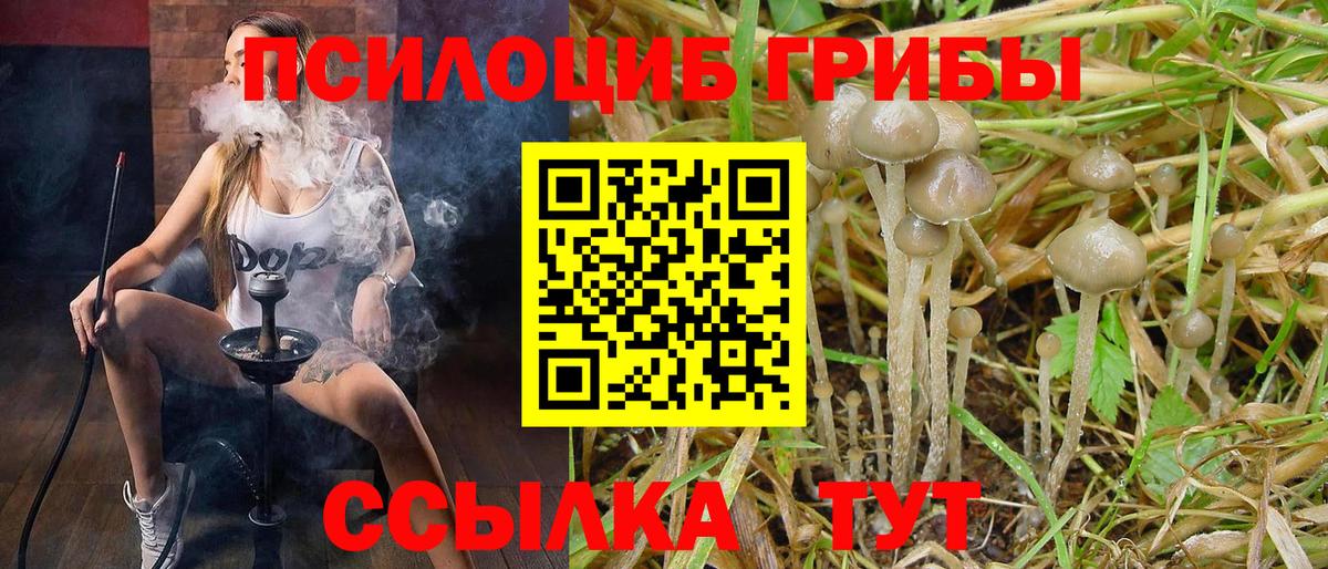 Псилоцибиновые грибы мицелий  Вход с VPN  Псилоцибиновые грибы MAGIC MUSHROOMS  где можно купить   Зеленокумск 